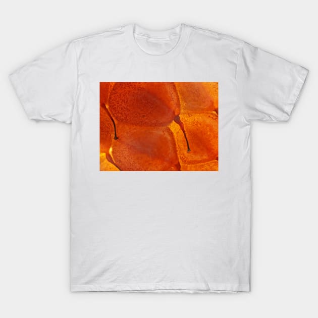 Raspberry under the microscope T-Shirt by SDym Photography